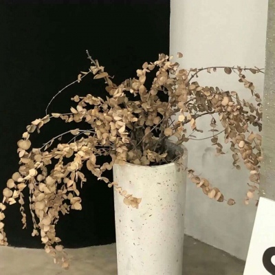 雨花福瑞交流群